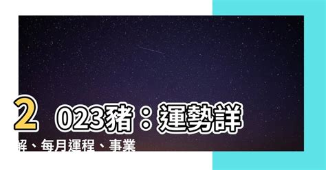 大飛揚加桂枝 2023豬運勢